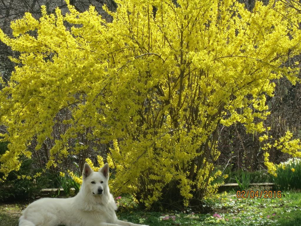 Ferienwohnungen Kremsbrucker Klagenfurt am Woerthersee Kültér fotó